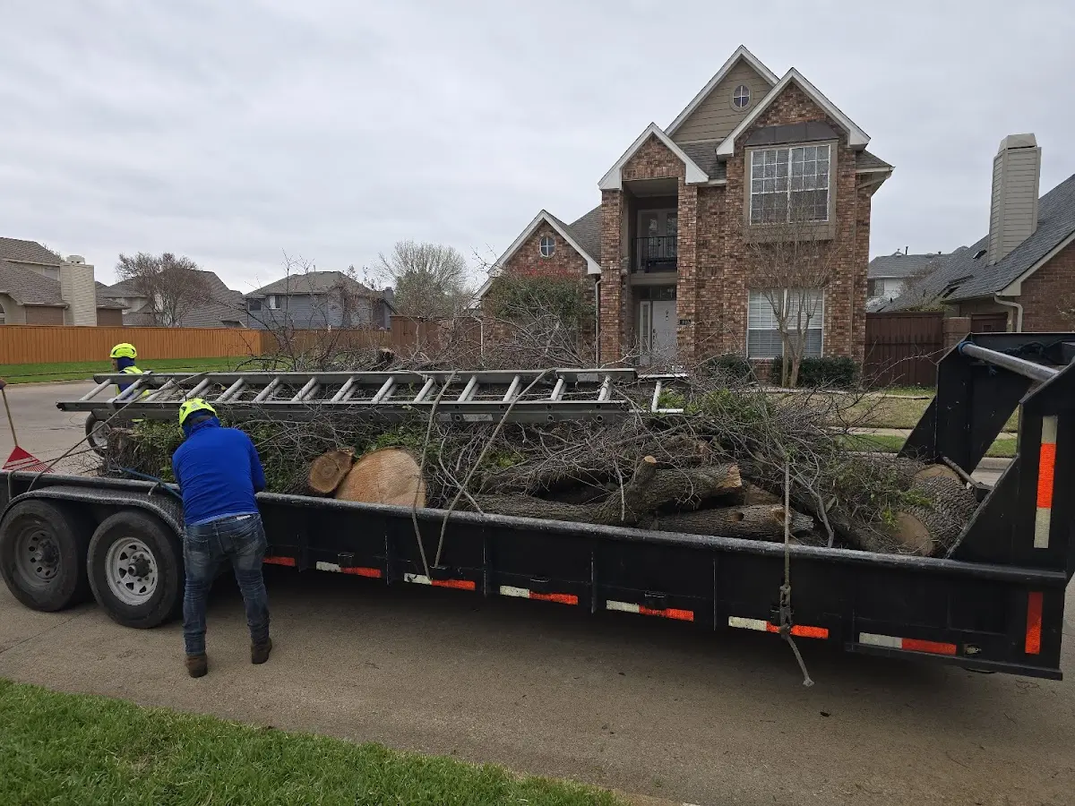 Expert Tree Pest Control with proper safety equipment in Turner